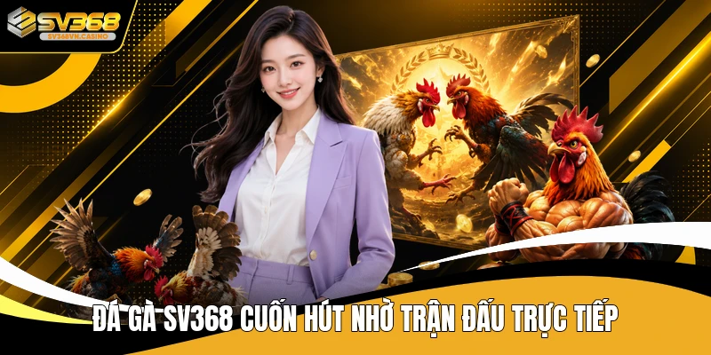 Đá gà SV368 cuốn hút nhờ trận đấu trực tiếp