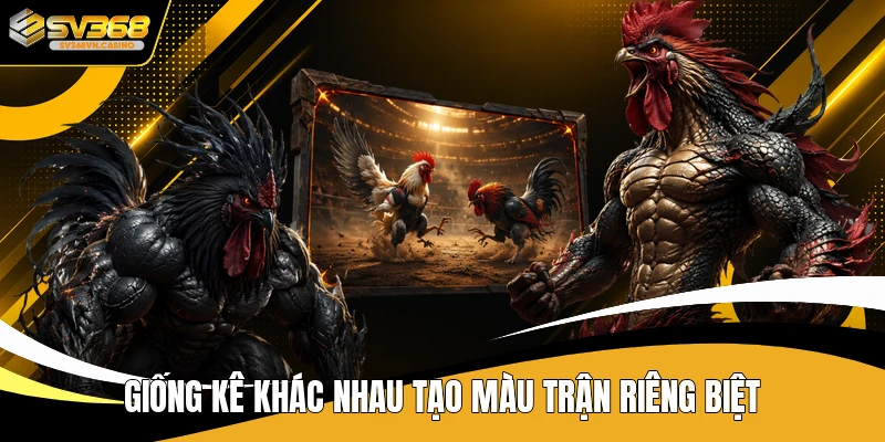 Giống kê khác nhau tạo màu trận riêng biệt